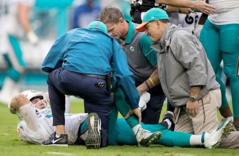 Dolphins win comes at an expense