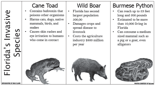 Invasive species wreak havoc in Florida