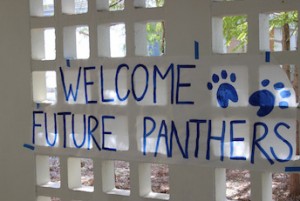 Panther for a Day