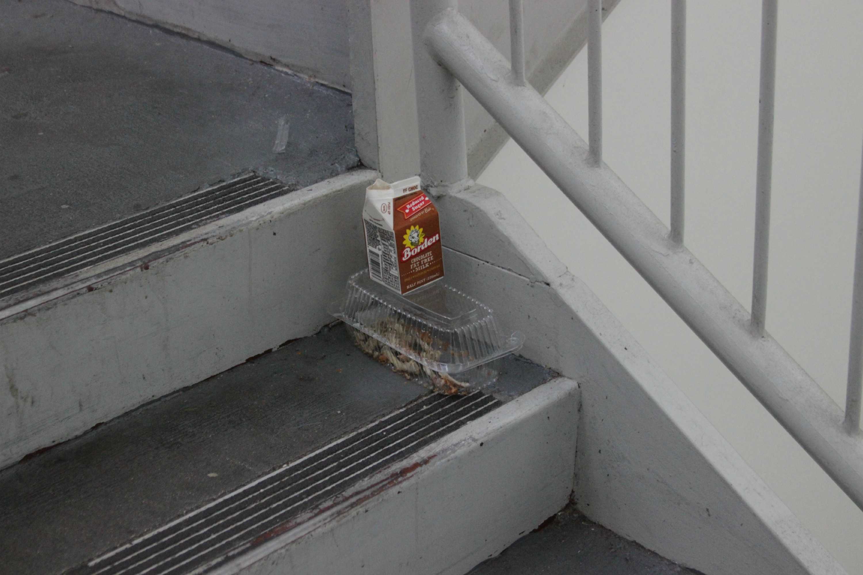 What is better than rushing down the stairs to find your foot in a pile of chicken bones?