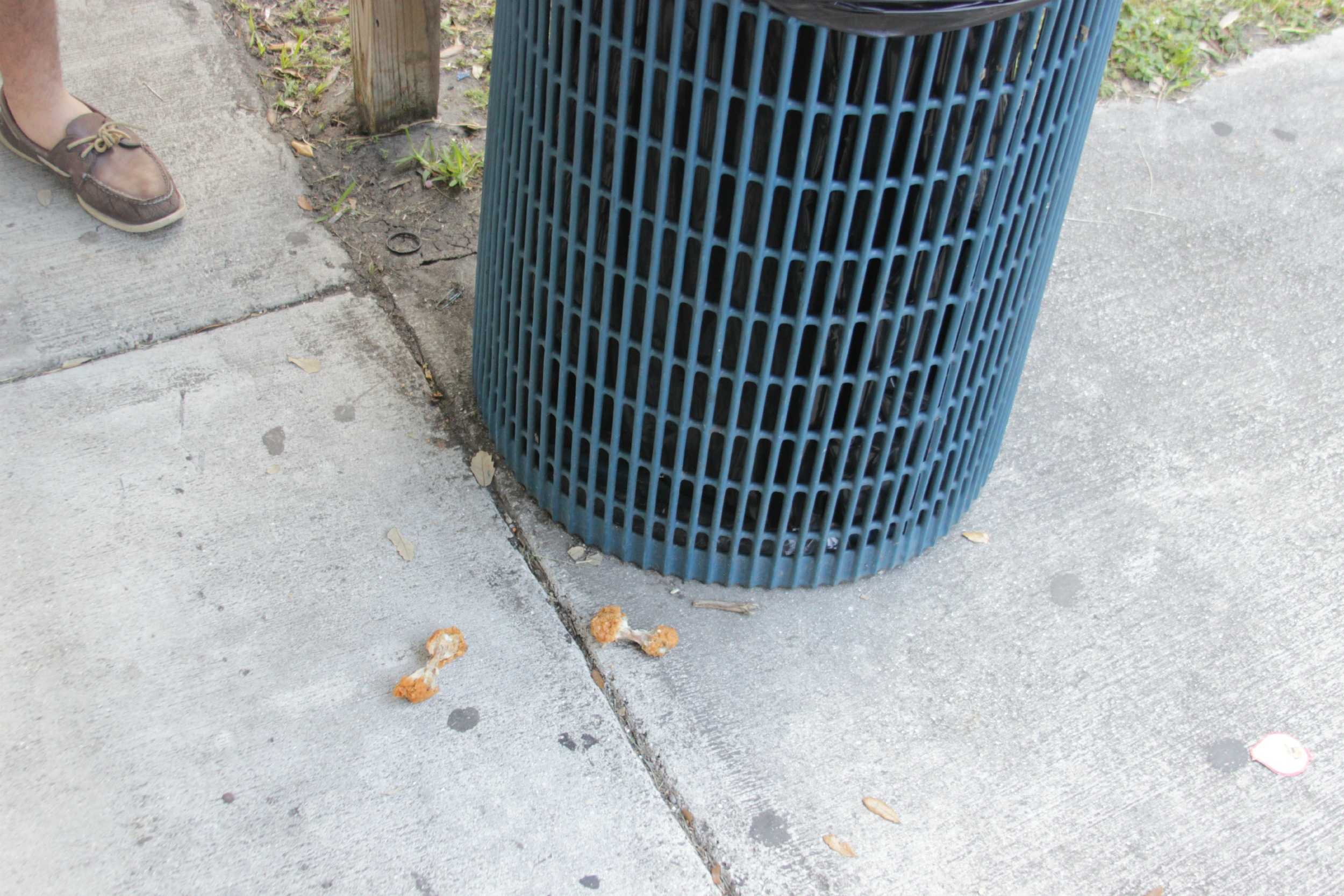 Really? Are you kidding me? You couldn't throw out the bones? The trashcan is right there.