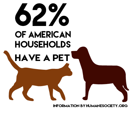 The beneficial dogma of owning a pet 