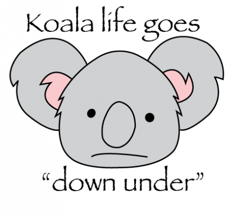 Koala life goes “down under”