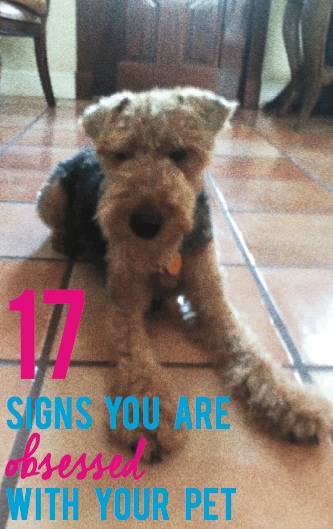 17 Signs you are obsessed with your pet