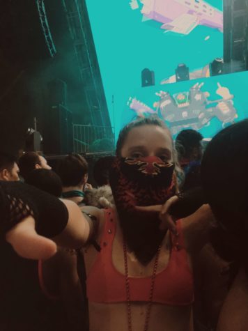 Recapping Ultra Music Festival 2017