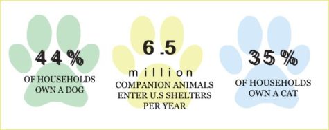 How Pets Impact Mental Health