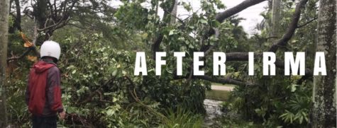 After Irma: Unprepared