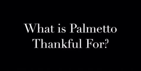 What is Palmetto Thankful For? (VIDEO)