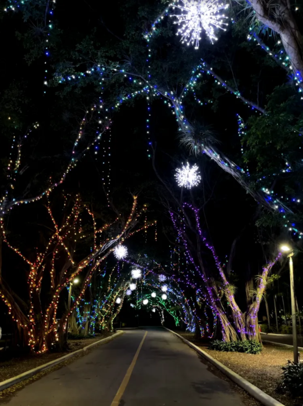 Pinecrest Gardens Nights of Lights – The Panther