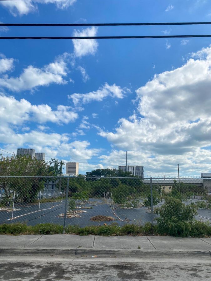 The Green Haven Project's community garden in Overtown has taken on a life of its own and become a vital part of the community. 