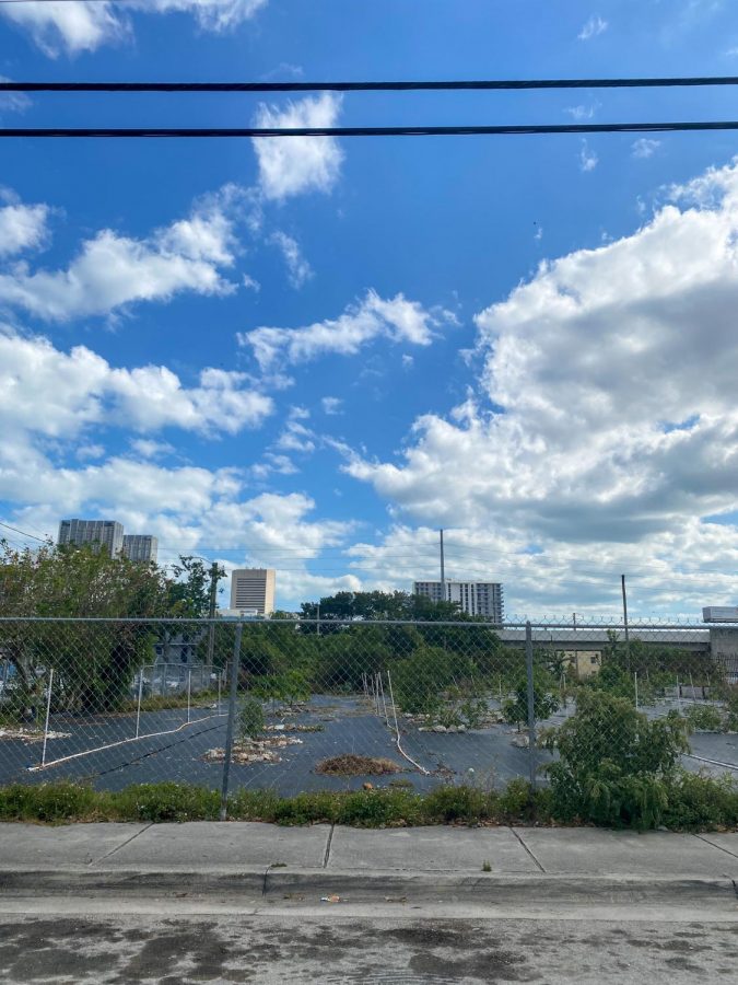 The Green Haven Projects community garden in Overtown has taken on a life of its own and become a vital part of the community. 