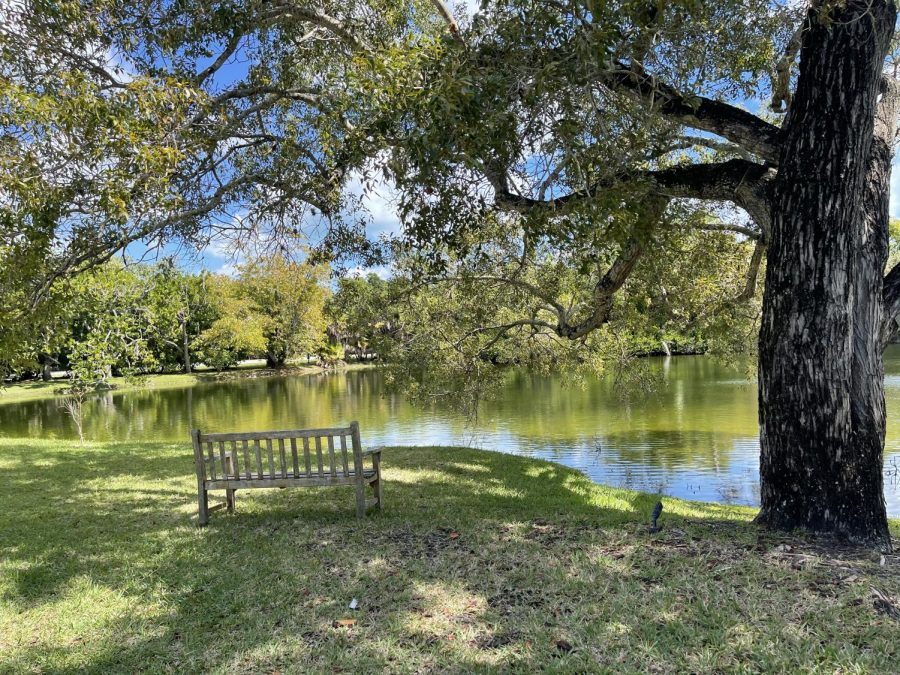 Lagoon in Fairchild where one can sit and enjoy the view.