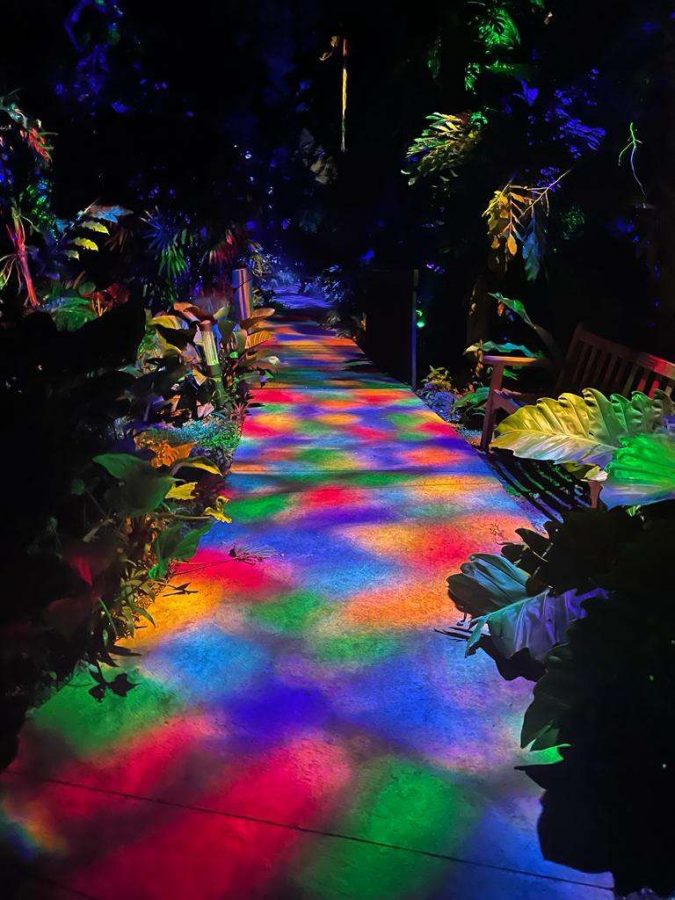 Tropical Rainforest light display at the NightGarden at Fairchild Tropical Botanic Gardens.
Photo Courtesy of Catalina Forwood.