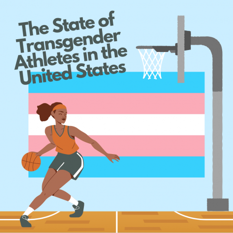 The State of Transgender Athletes in the United States