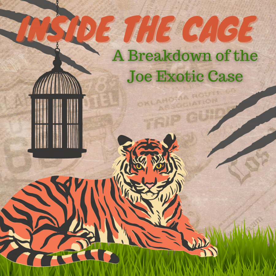 Inside The Cage: A Breakdown of the Joe Exotic Case