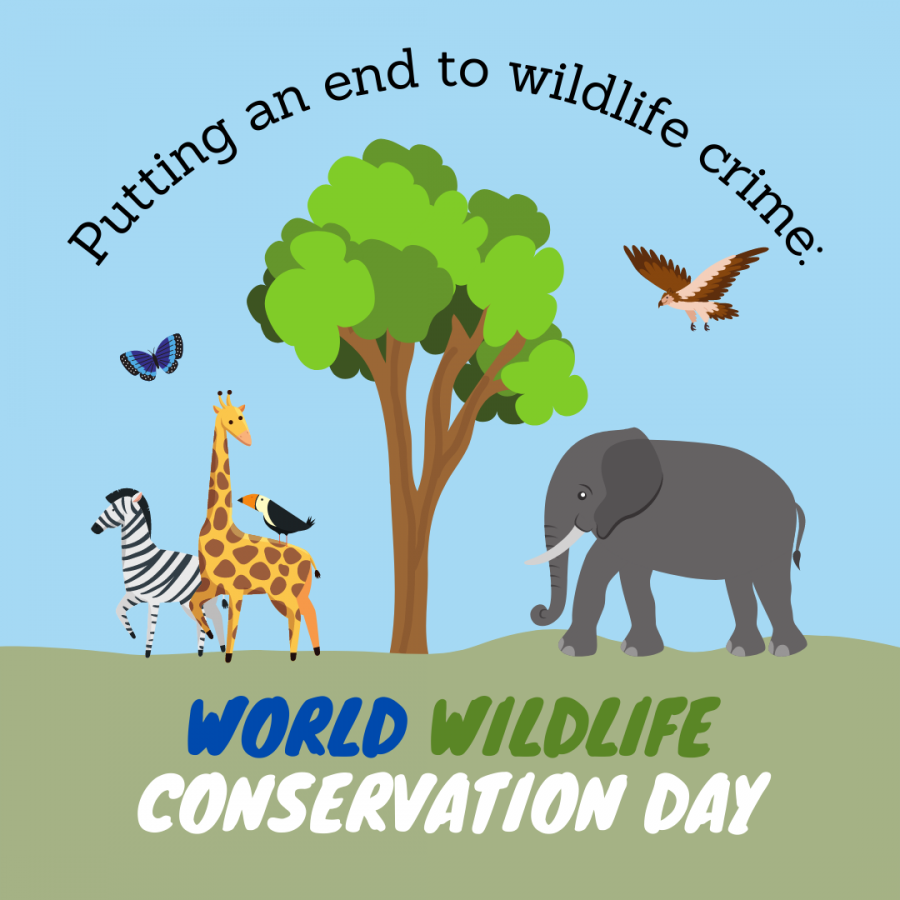 Putting an End to Wildlife Crime: World Wildlife Conservation Day