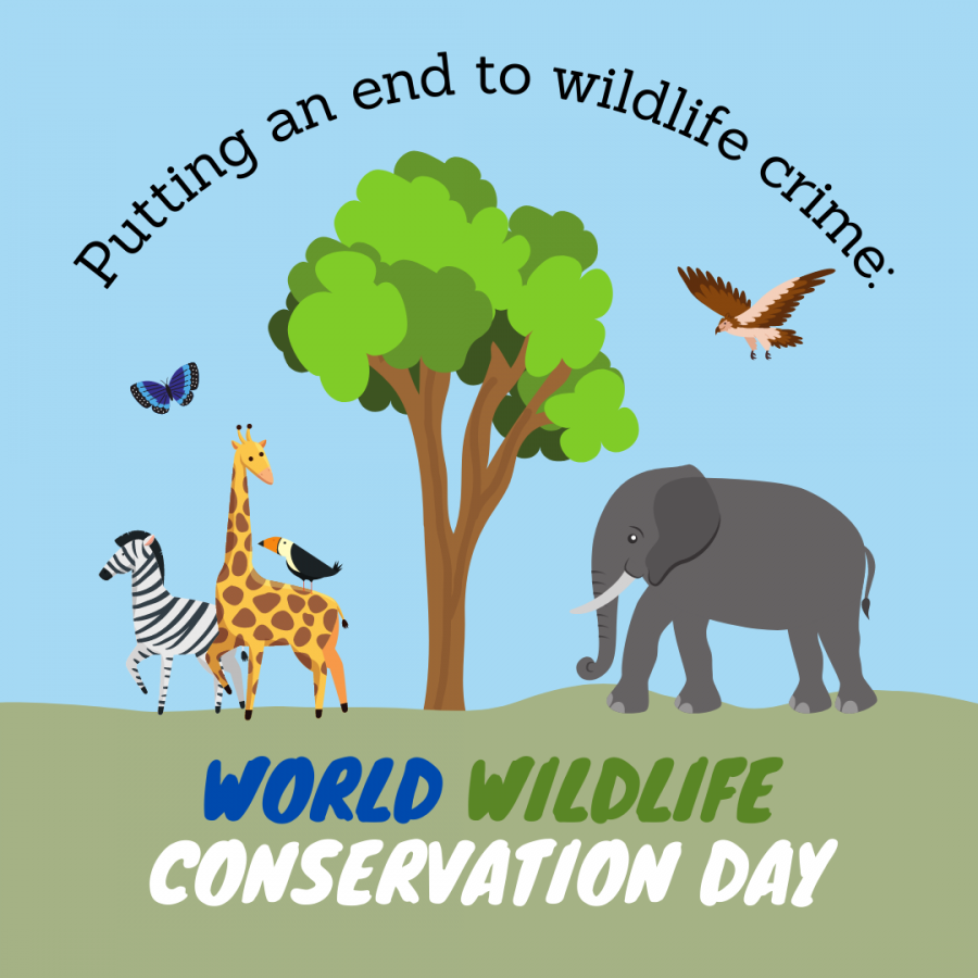 Wildlife Conservation