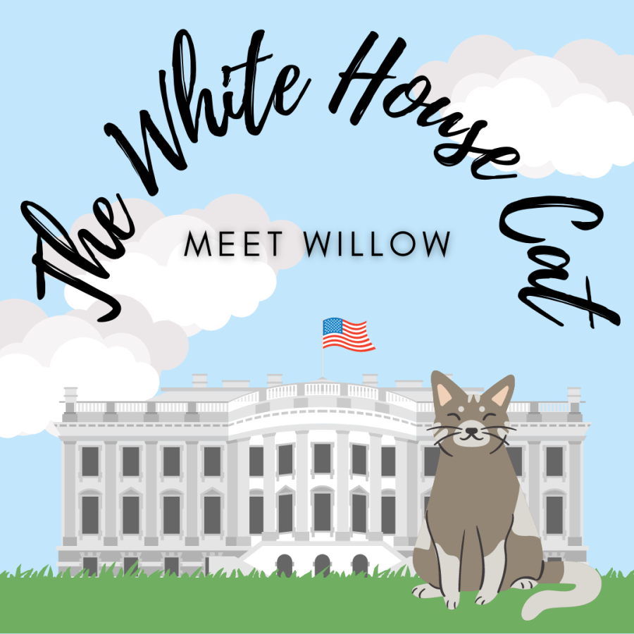 d.vaque.whitehousecat (1)