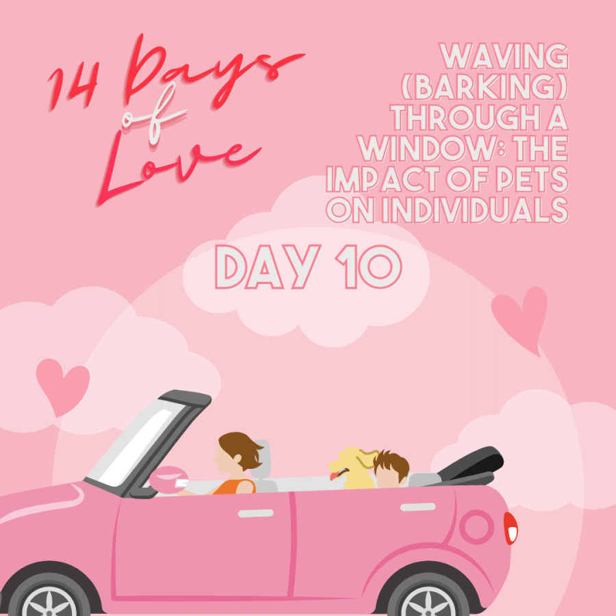 14 Days of Love Day 10: Barking Through a Window: The Value of Dogs in the Lives of Humans