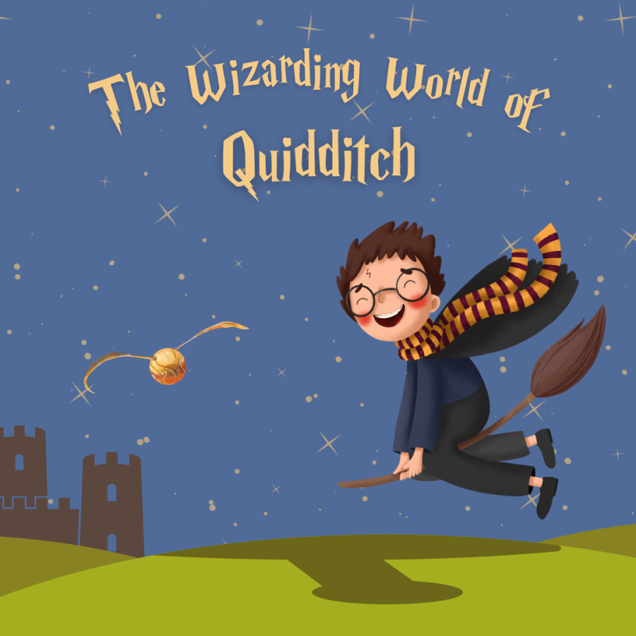 The Magical, Wizarding World of Quidditch