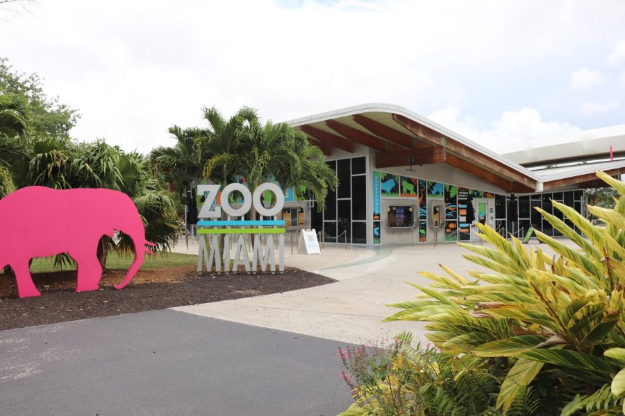 Zoo+Miamis+monorail+is+ceasing+operations+after+nearly+four+decades+due+to+management+complications.