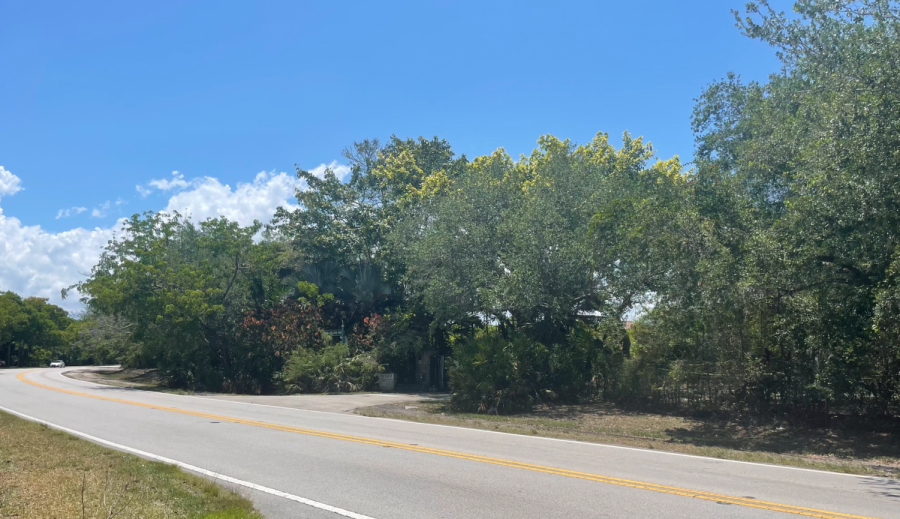 Old Cutler Road offers a scenic view while bike riding.