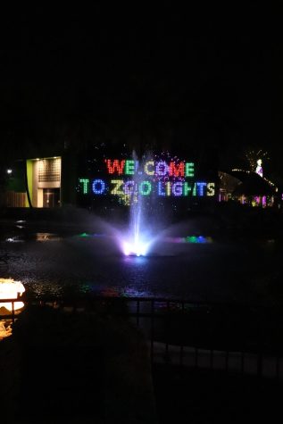 LED light show welcoming guests at Zoo Miami.