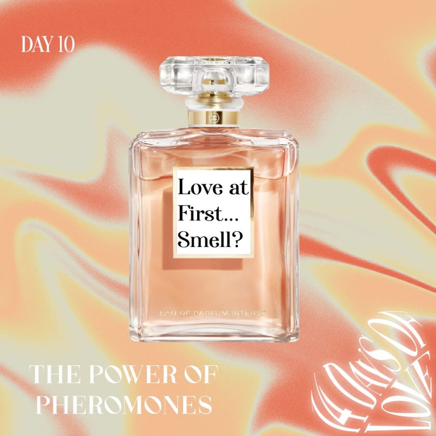 14 Days of Love Day 10: Love at First… Smell? The Power of Pheromones
