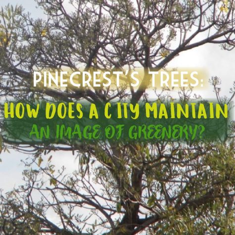Pinecrest’s Trees: How a City Maintains an Image of Greenery
