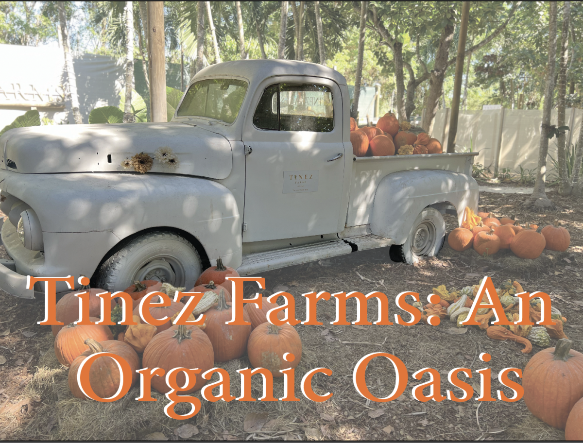 Tinez+Farms%3A+An+Organic+Oasis