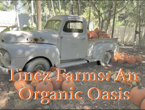 Tinez Farms: An Organic Oasis