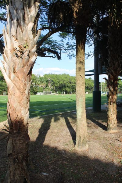 ‘Picking Up’ with Flagler Grove’s Finest