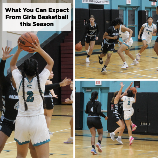 What You Can Expect From Girls Basketball this Season