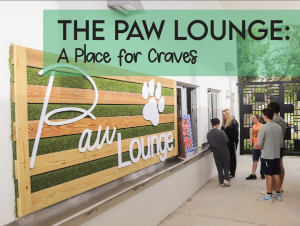 The Paw Lounge: A Place for Craves