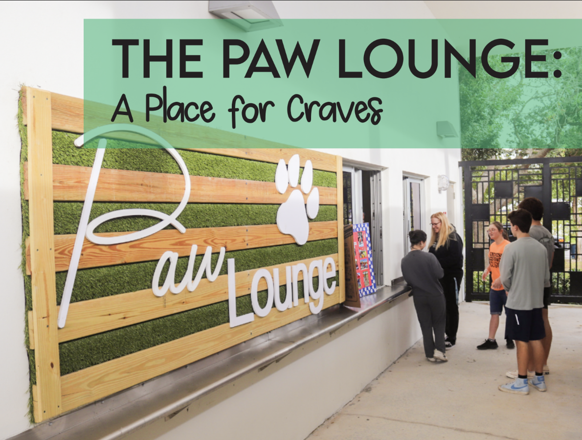 The+Paw+Lounge%3A+A+Place+for+Craves