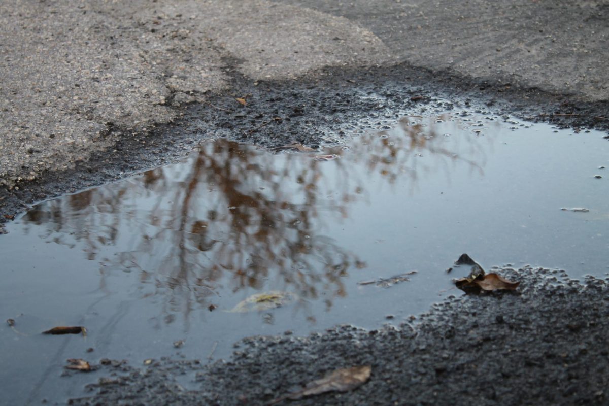 Give Us Rain Days: We Are Drenched