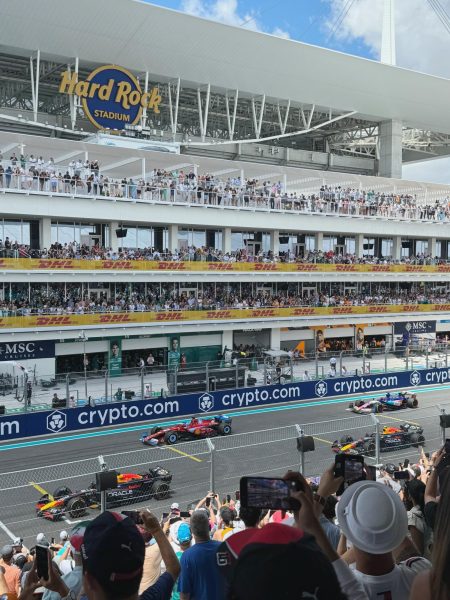 Panthers at the Formula 1 Miami Grand Prix 2024