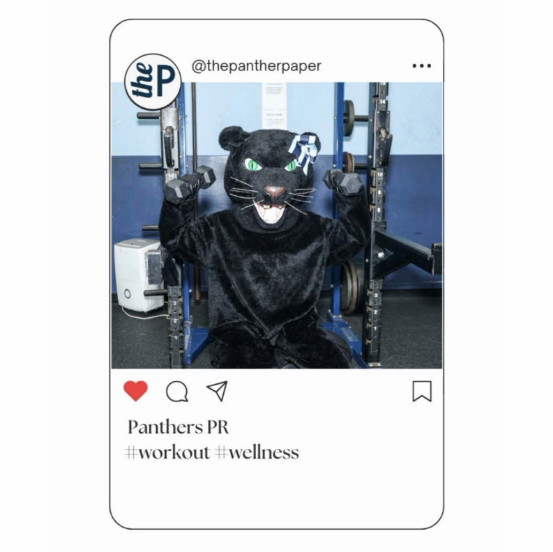 Panther’s PR: Cracking the Code to the 12-3-30 Method