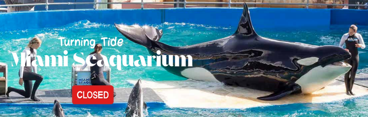 Turning Tide: Miami Seaquarium Closed
