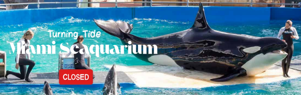Turning Tide: Miami Seaquarium Closed
